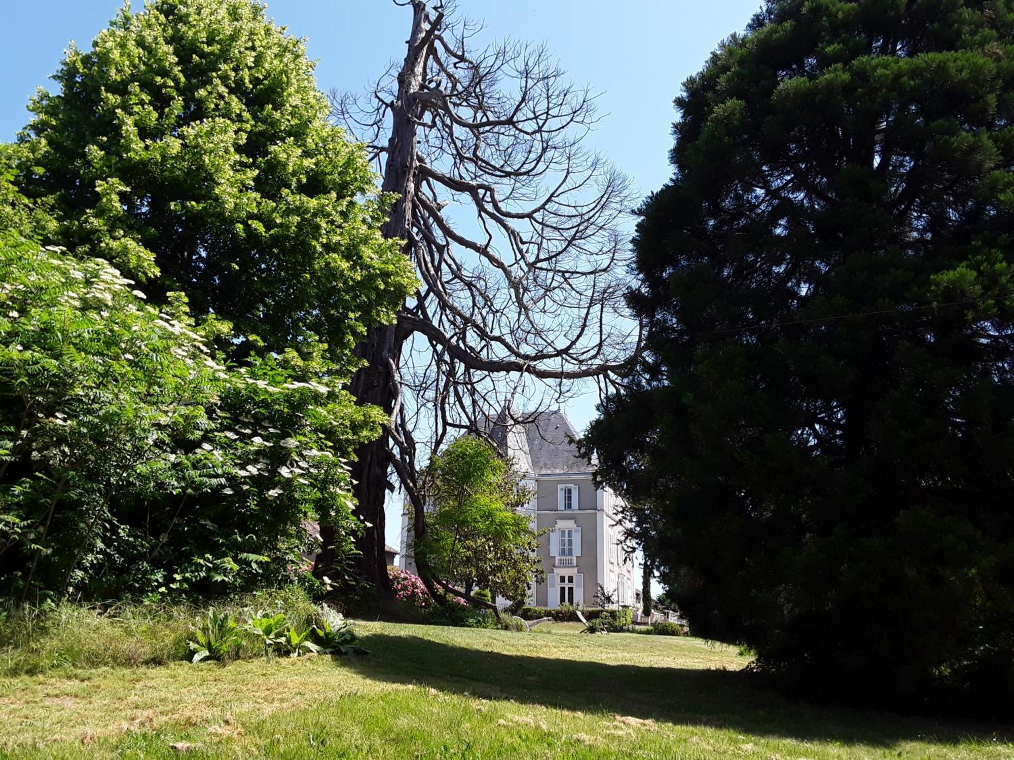 Château de Prety - Maison d'Hôtes Exterior foto